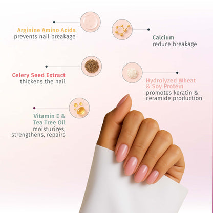 Nail Growth Treatment Polish Top and Base Coat - Rejuvacote 1 Original Maximum Strength Nail Growth System, Base and Top Coat - Duri Cosmetics - long lasting, sustainably made in small batches, made in USA